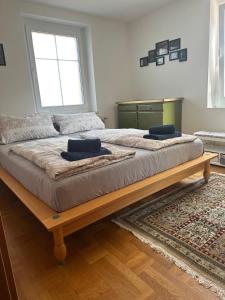 ein großes Bett mit zwei Kissen darauf in einem Zimmer in der Unterkunft Bludenz Apartments RosaKlein-30m2 & RubinaGross-100m2 in Bludenz