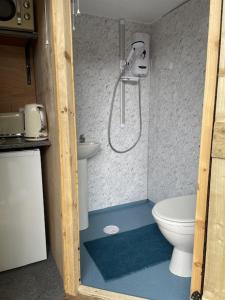 y baño pequeño con aseo y ducha. en Alnmouth Glamping, en Alnmouth