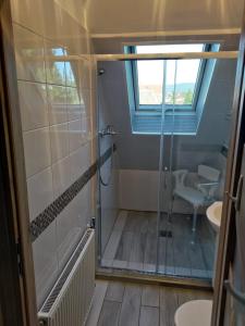 a bathroom with a shower and a toilet and a window at Apartament Tujka Żywiec in Żywiec
