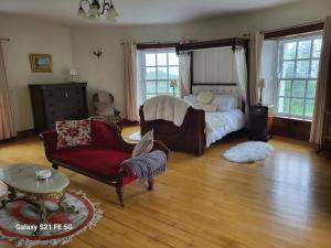 Posezení v ubytování Ballycurrin House