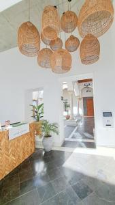 een lobby met verschillende manden aan het plafond bij Apartamentos Sherry Center in Jerez de la Frontera