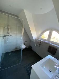 y baño con ducha acristalada y lavamanos. en Reetdachhaus Salzhaff, en Pepelow