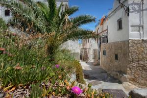 an alley with a palm tree and a building at Hotel Palme Gemelle in Vieste
