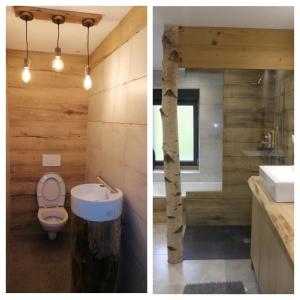 two pictures of a bathroom with a toilet and a sink at LE MASSIF - Appartement avec vue imprenable in La Bresse