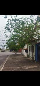 un arbre sur le côté d'une route à côté d'un bâtiment dans l'établissement Eaí Hostel, à Cabo Frio