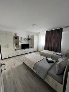 a large bedroom with two beds and a television at La Luna Imobiliare in Ocna-Mureşului