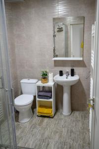 a bathroom with a toilet and a sink at La Luna Imobiliare in Ocna-Mureşului