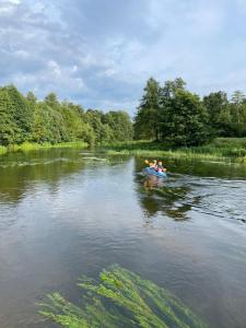Przyroda w pobliżu tego domu wakacyjnego