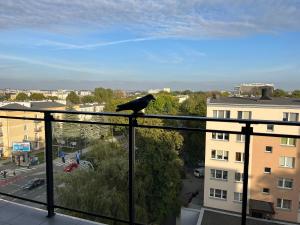 a black bird sitting on top of a balcony at Racławickie 28A in Lublin
