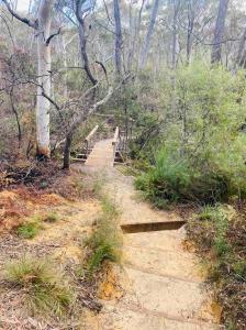 a dirt trail with a staircase in a forest at Paradise Lodge - Blue Mountains Wonderland in Linden