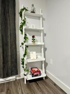 Gallery image of Palm Suite St Johns - Luxury One Bedroom Apartment in St. John's