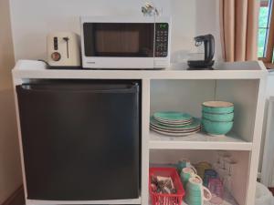 a microwave sitting on top of a shelf next to a refrigerator at Sunnyside in Bristol