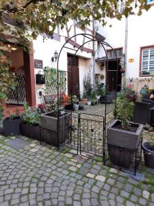 Kleine Altstadt Oase في بيرنكاستل كويز: حديقة بها نباتات الفخار أمام المنزل