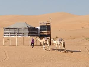 dos camellos y una persona caminando en el desierto en Hamood desert local camp en Al Wāşil