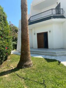 una palmera frente a un edificio blanco en Villa de maitre magnifique, spacieuse avec jardin, en La Marsa