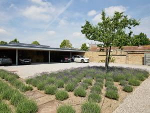Giardino di Notarishuys "Pure Hotel"