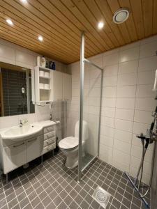 a bathroom with a toilet and a sink and a shower at Ilmastoitu 55 m2 huoneisto saunalla Lahden satamassa in Lahti