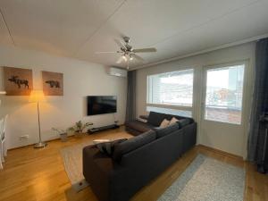 a living room with a couch and a flat screen tv at Ilmastoitu 55 m2 huoneisto saunalla Lahden satamassa in Lahti