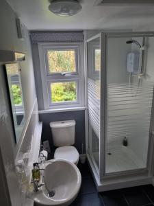 a bathroom with a toilet and a sink and a shower at Fellview Guest House in Bowness-on-Windermere