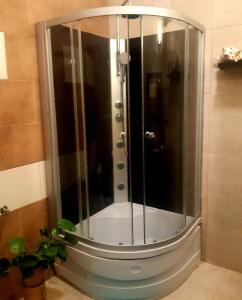 a shower with a glass door in a bathroom at Willa Pasja in Inowrocław