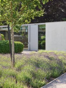 Giardino di Notarishuys "Pure Hotel"