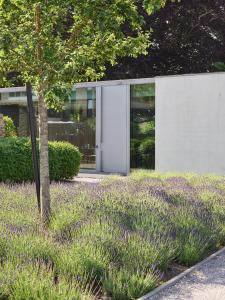 een gebouw met een veld lavendel ervoor bij Notarishuys "Pure Hotel" in Diksmuide