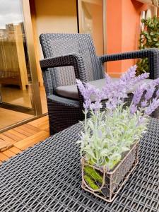 roślina doniczkowa siedząca na stole obok krzesła w obiekcie Apartament dúplex amb vistes al Pirineu català w mieście Coll de Nargó