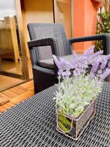 Zahrada ubytování Apartament dúplex amb vistes al Pirineu català + 34 fotografií