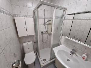 a bathroom with a shower and a toilet and a sink at Appartement Eigelsreiter Lindwurm in Traisen