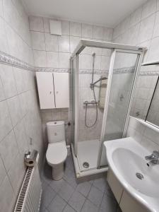 een badkamer met een douche, een toilet en een wastafel bij Appartement Eigelsreiter Lindwurm in Traisen