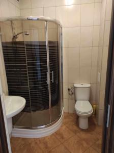 a bathroom with a shower and a toilet and a sink at Piekiełko Noclegi 