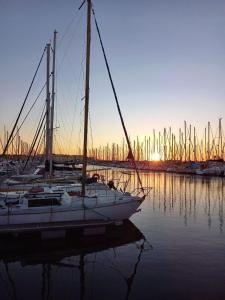 een groep zeilboten aangemeerd in een haven bij zonsondergang bij Le Rubis in Gruissan