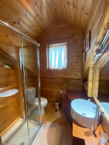 a bathroom with a shower and a toilet and a sink at Beautiful Chalet on Mt. Parnassos near ski resort in Kalánia