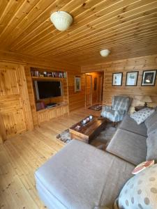 sala de estar con sofá y TV en Beautiful Chalet on Mt. Parnassos near ski resort, en Kalánia