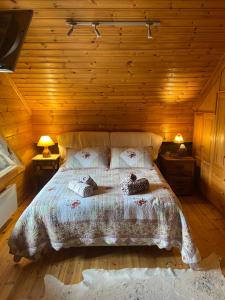 a bedroom with a bed in a wooden cabin at Beautiful Chalet on Mt. Parnassos near ski resort in Kalánia