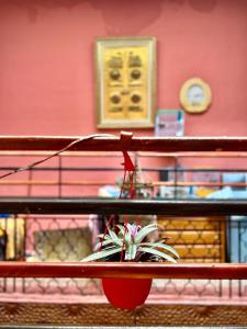 uma planta num vaso vermelho sentado num banco em Dar Elkaram 2 em Rabat