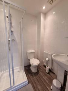 a bathroom with a toilet and a shower and a sink at Spacious Homey Gem Minutes to the Beach w/Garden in Seascale