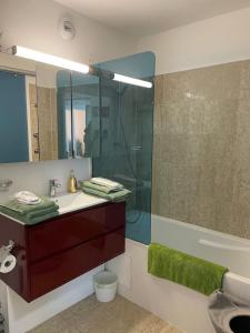 y baño con lavabo, ducha y espejo. en Monte-Carlo confortable apartment air-conditioned, beach 8 mn by foot, en Beausoleil