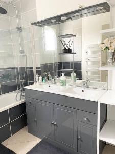 een badkamer met een wastafel, een spiegel en een bad bij Agréable et grande maison avec parking + jardin in Villeurbanne
