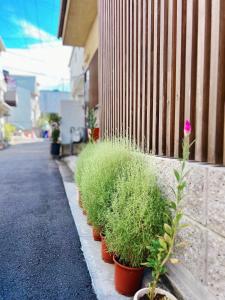 京都東雲夏~距京都站900米步行12分、近鄰東寺站150米步行2分，三室一廳兩衛浴二層獨棟~最多可住9人的相册照片