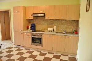 Kuchyň nebo kuchyňský kout v ubytování Hotel Martina