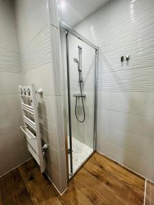 トレガステルにあるStudio cosy à Trégastelのバスルーム(ガラスドア付きのシャワー付)