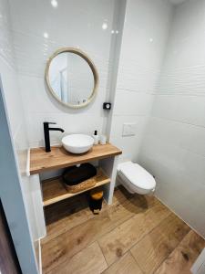 トレガステルにあるStudio cosy à Trégastelのバスルーム(洗面台、トイレ付)