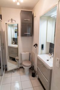 La salle de bains est pourvue de toilettes, d'un lavabo et d'un miroir. dans l'établissement Escapade à la mer, à Dunkerque