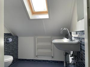 a bathroom with a sink and a toilet at Watervilla de Rietzanger by Droomvilla in Langweer +17 photos