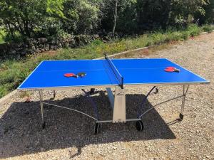 a blue ping pong table sitting on the ground at Villa de charme avec piscine couverte et 3000m2 in Rosières