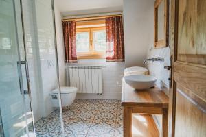 卡羅林卡的住宿－Chalupy Mátěráda，浴室配有卫生间、盥洗盆和淋浴。