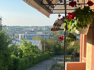 Příroda nedaleko hotelu