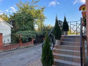 a set of stairs with potted trees on them at Готель «У Батька» in Truskavets