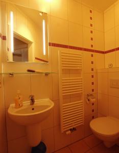 a bathroom with a sink and a toilet at Ataraxia in Insel Poel +4 photos